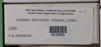 Image Associated With the Occurence